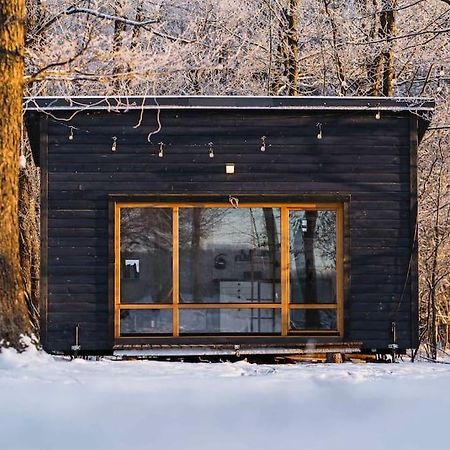 Beautiful Tiny House On The Lake Side. Trakai Bagian luar foto