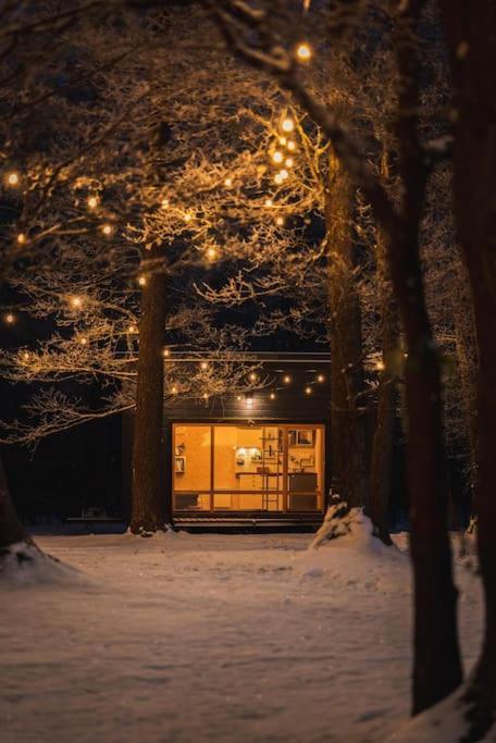 Beautiful Tiny House On The Lake Side. Trakai Bagian luar foto